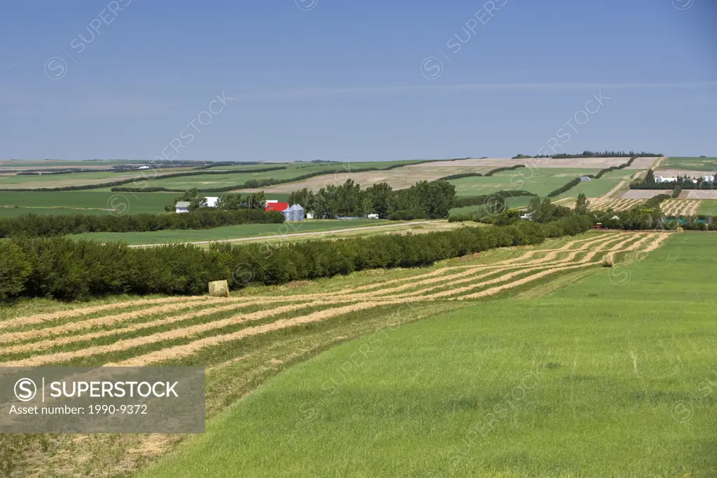 Farmland along the Redcoat Trail near Admiral, Saskatchewan, Canada.