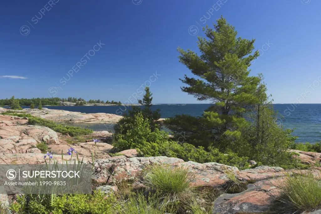 Granite cliffs and White pines typify the landscape in Killarney Provincial Park in Ontario, Canada.