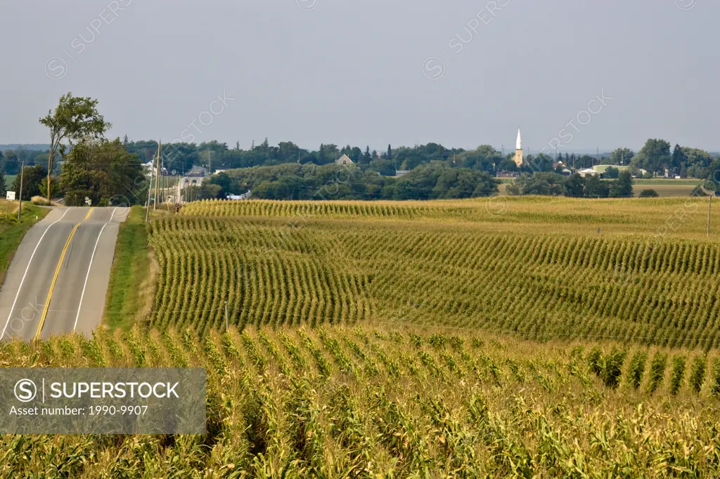 Corn field and village of Heidelburg, Ontario, Canada.