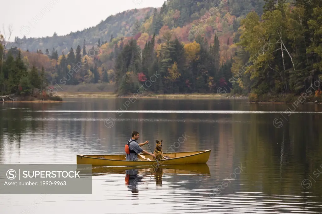 Young man canoeing with dog on Oxtongue Lake in autumn, Mukoka, Ontario, Canada.