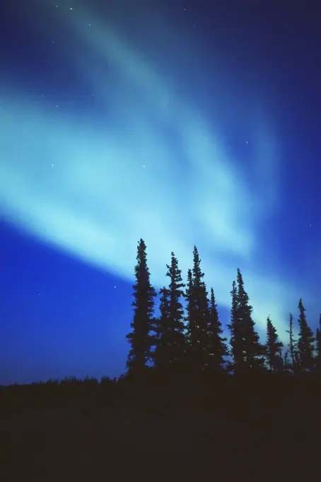 The northern light aurora borealis sweeping across the autumn skies of northern Alberta, Canada