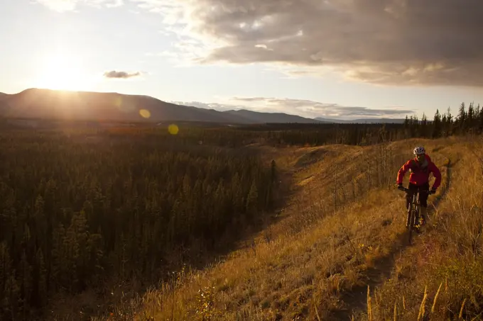 A male mountain biker enjoying perfect fall weather and singletrack in Whitehorse, Yukon