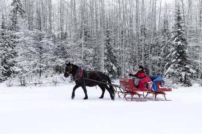 Canada, British Columbia, Cariboo Chilcotin region, sleigh ride, Christmas sleigh ride, winter, winter sleigh ride,
