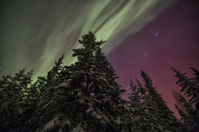 Aurora Borealis or Northern Lights, Yukon