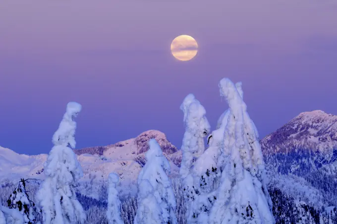 Moonset at sunrise, winter, Mount Seymour Provincial Park, North Vancouver, British Columbia