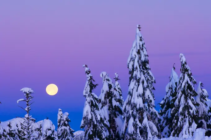 Moonset. From Grouse mountain, Vancouver, British Columbia, Canada.
