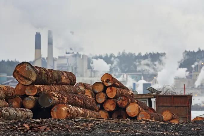 Logs in sorting yard with pulp mill in background, Nanaimo, Vancouver Island, BC, Canada