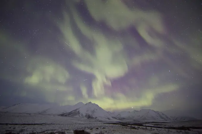 Northern lights or aurora borealis above the snow covered tundra along the Dempster Highway, Yukon.