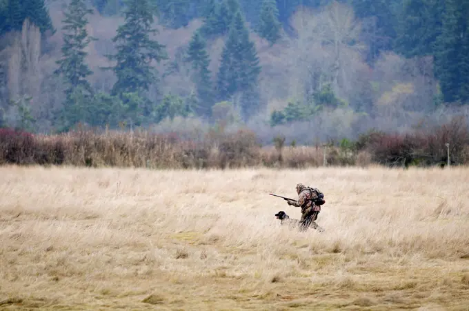 A man and his black lab hunting near Cowichan Bay, BC.