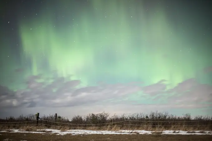Northern Lights in Prairie near Cochrane, Alberta, Canada