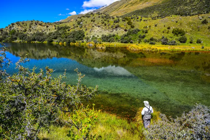 Spring Pond, McKensie Country, South Island, New Zealand