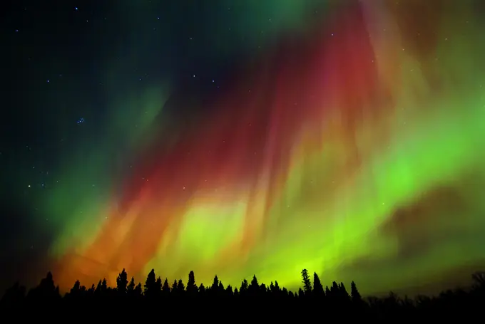 Northern lights (Aurora borealis) Birds Hill Provincial Park Manitoba Canada