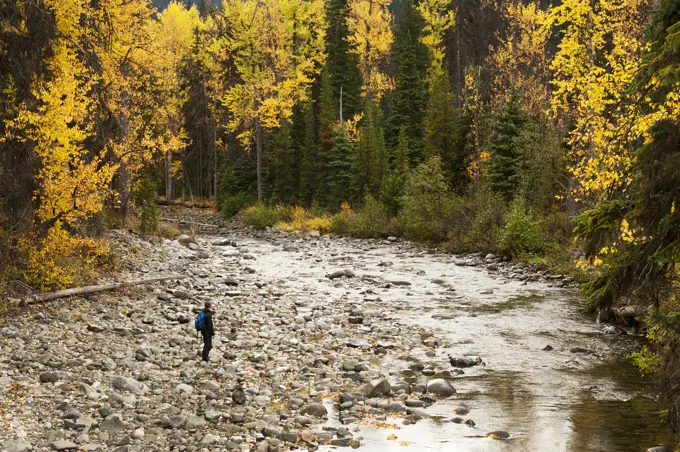 A hiker walks towards a creek in E.C. Manning Provincial Park.