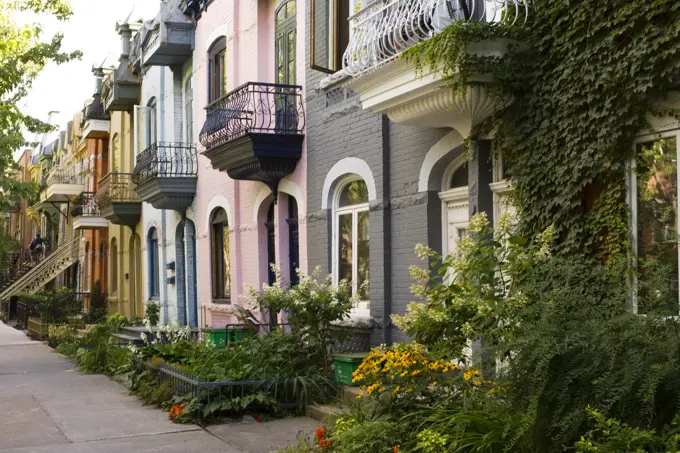Residential street in Latin Quarter, typical of row housing and street gardens in city, Montreal, Quebec, Canada