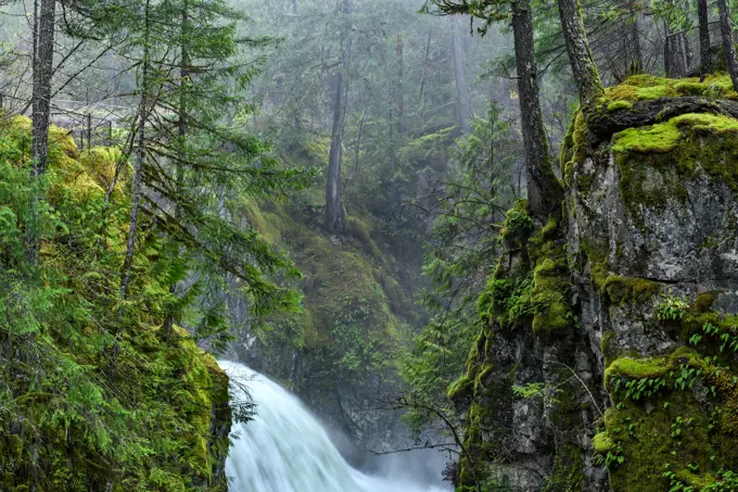 Little Qualicum Falls Provincial Park, Parksville, Vancouver Island, BC, Canada