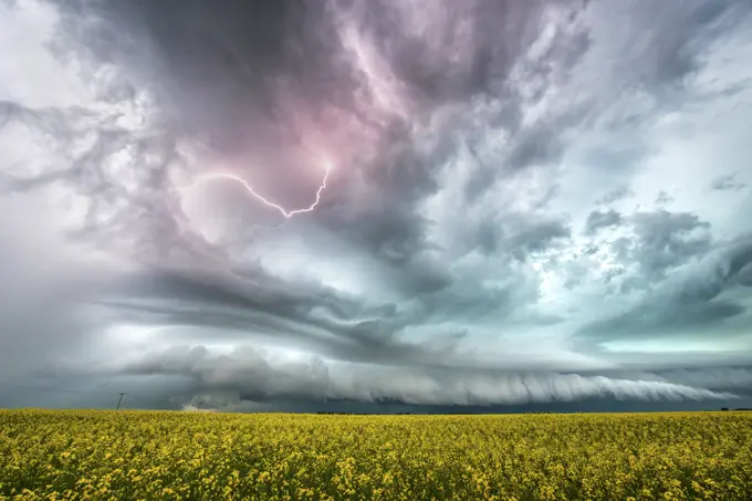 Storm with lightning flashing over canola field in rural southern Saskatchewan Canada