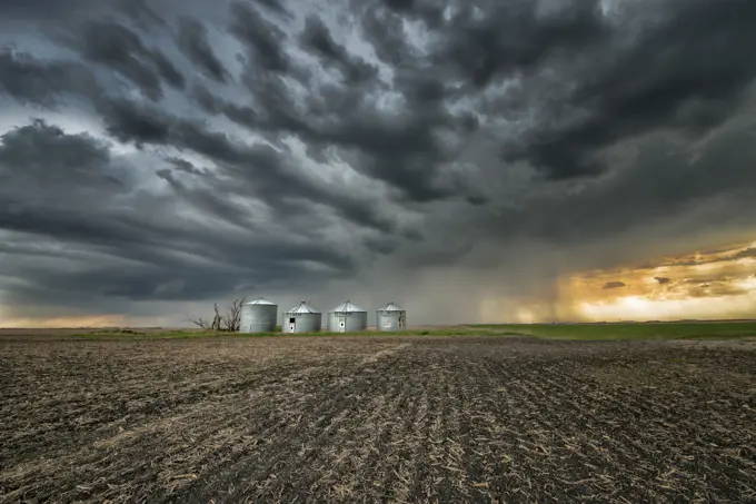 Storm with rain over field with grain bins in rural southern Manitoba Canada