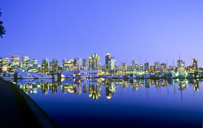 Vancouver city at night viewed from Stanley Park, British Columbia, Canada