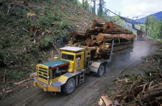 Logging trucks haul cedar above Carmanah Valley, Vancouver Island, British Columbia, Canada