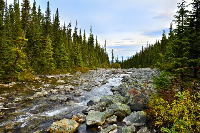 A landscape image of the start of the Astoria river that flows from Cavell lake to the mighty Athabasca river in Jasper National Park on the path that glaciers traveled millions of years ago in Alberta Canada.