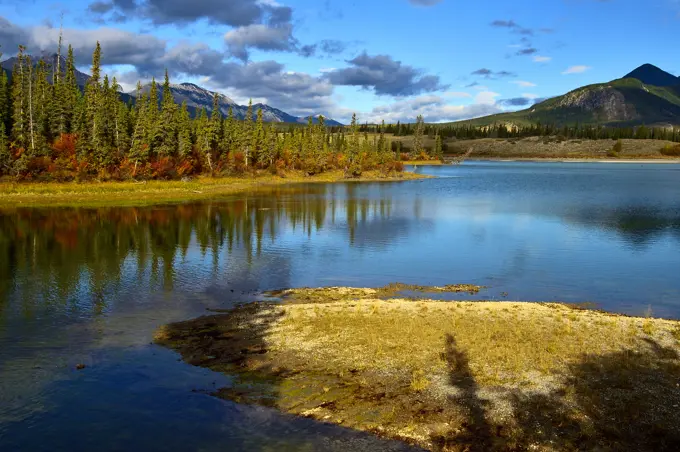 A fall landscape image of the Athabasca river with the colorful fall grasses under a cloud filled sky in Jasper National Park, Alberta, Canada.