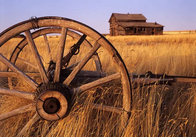 old wagon and abandoned farm house, near Ponteix, Saskatchewan, Canada