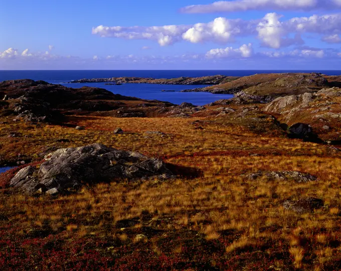Rock Strewn Peat Marsh on Southern Coast Burnt Islands, Newfoundland and Labrador, Canada.