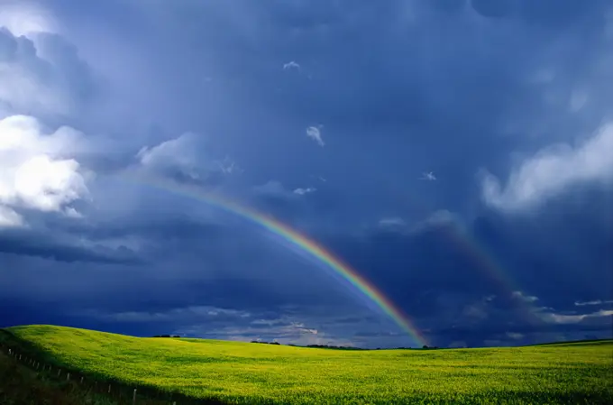 Thunder storm cell and rainbow over canola field, Southern Alberta, Canada.