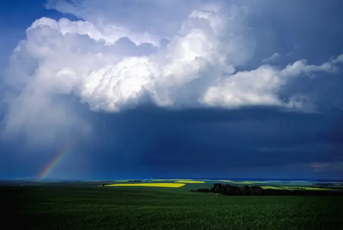Storm cell over canola field Southern Alberta, Canada.
