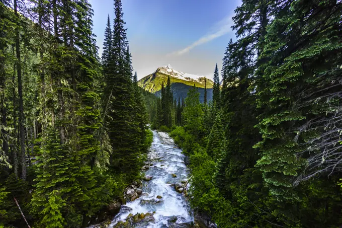 A view towards Cheops Mountain, Rogers Pass, Glacier National Park, British Columbia, Canada