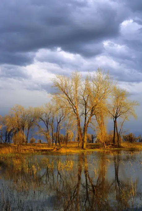Spring rain storm in Sheyenne National Grasslands, North Dakota, USA