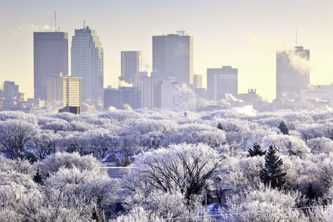 Winnipeg skyline and hoar frost covered trees, on a winter day. Winnipeg, Manitoba, Canada