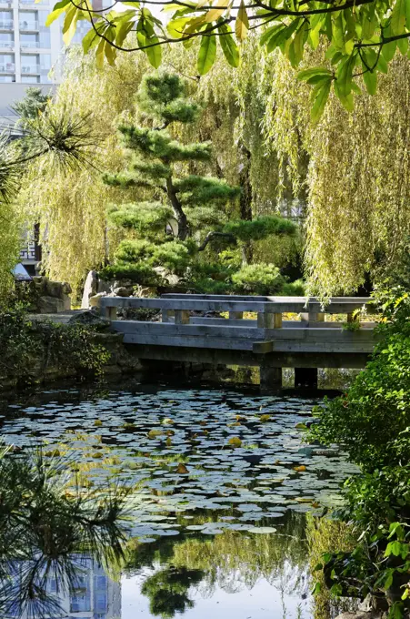 Dr. Sun Yat Sen, Classical Chinese Garden, Vancouver, British Columbia, Canada