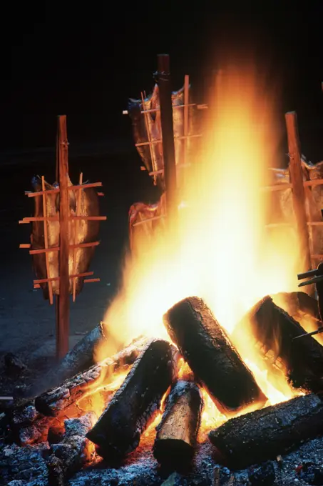 First Nations culture, Mungo Martin House, open fire with salmon on cedar stakes, British Columbia, Canada.
