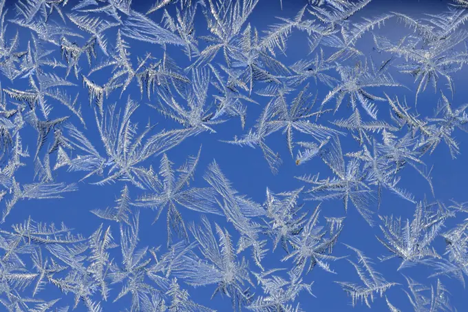 Frost patterns on a window