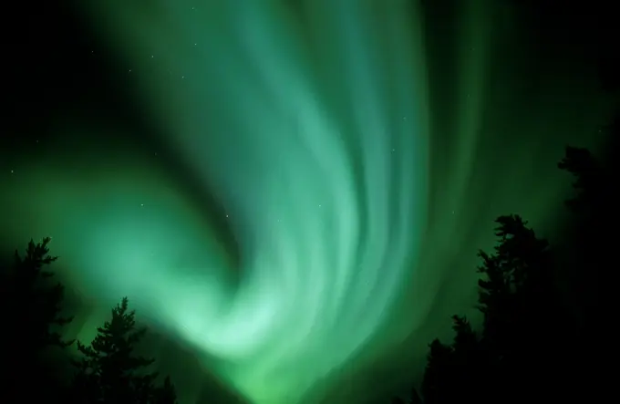 Northern lights or aurora borealis, Wood Buffalo National Park, Northwest Territories, Canada