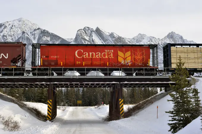 Rail cars of a Canadian National freight train crossing a train bridge over a snow covered road in Jasper National Park, Alberta, Canada.