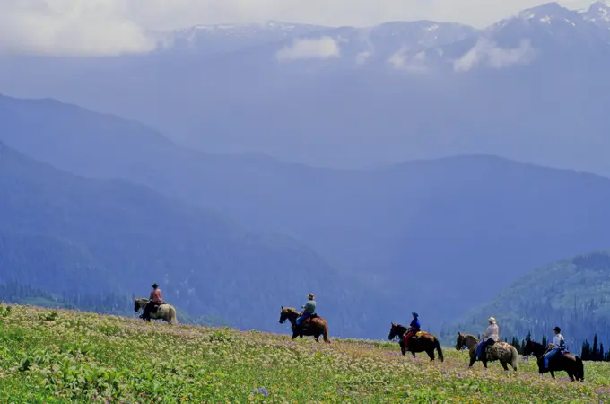 Trail riding in the Cariboo Mountains, British Columbia, Canada.