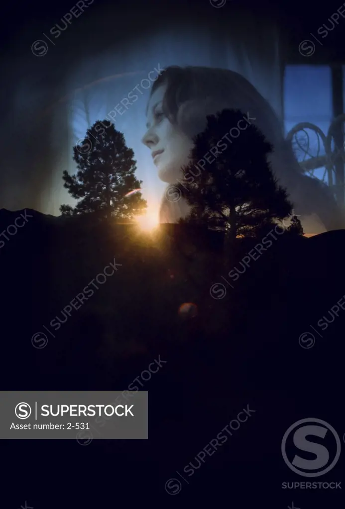 Silhouette of trees with a side profile of a young woman superimposed in the background