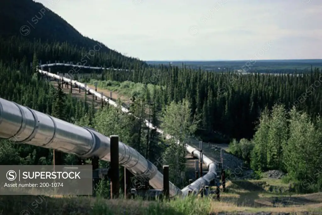 Oil pipeline passing over a landscape, Trans-Alaskan Pipeline, Alaska, USA