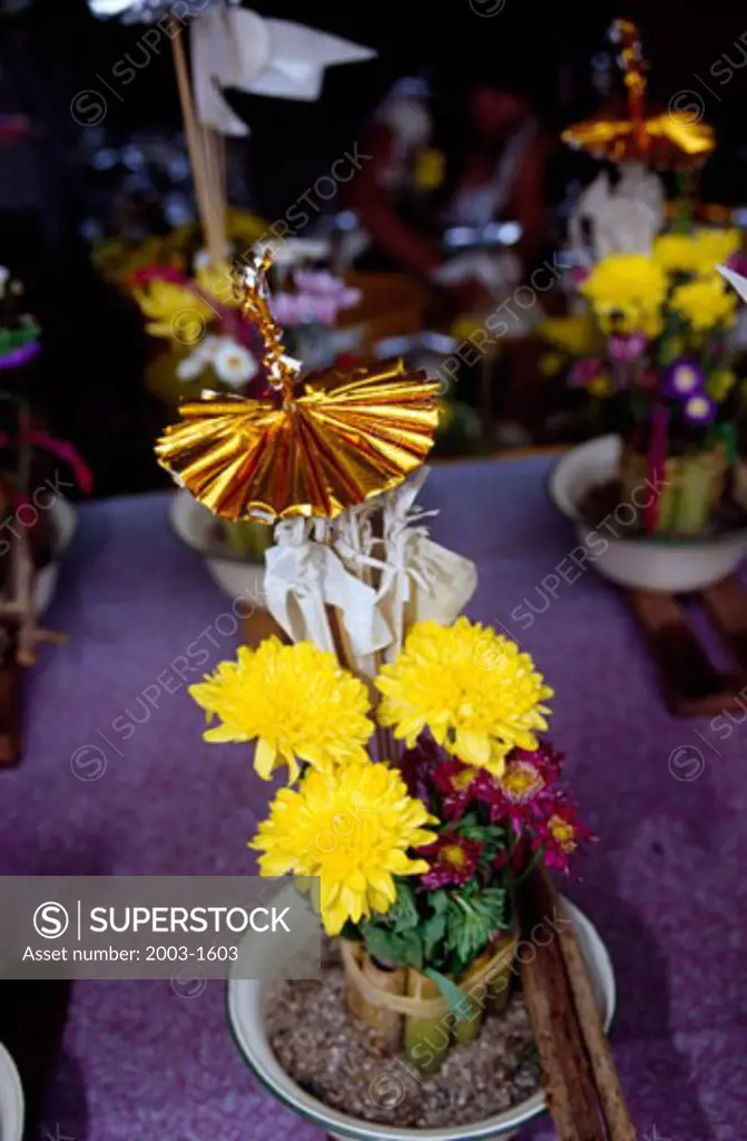 High angle view of a potted plant in a temple, Wat Phra That Doi Kong Mu, Mae Hong Son, Thailand