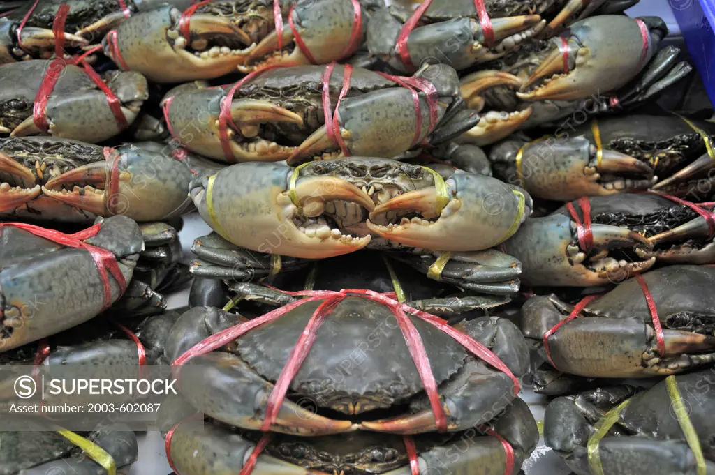 Live crabs with claws tied to prevent injury at a market stall, Bangkok, Thailand
