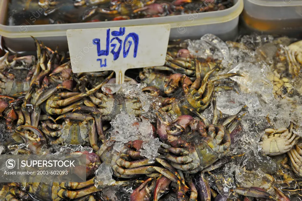 Sea crabs on ice at a market stall, Bangkok, Thailand