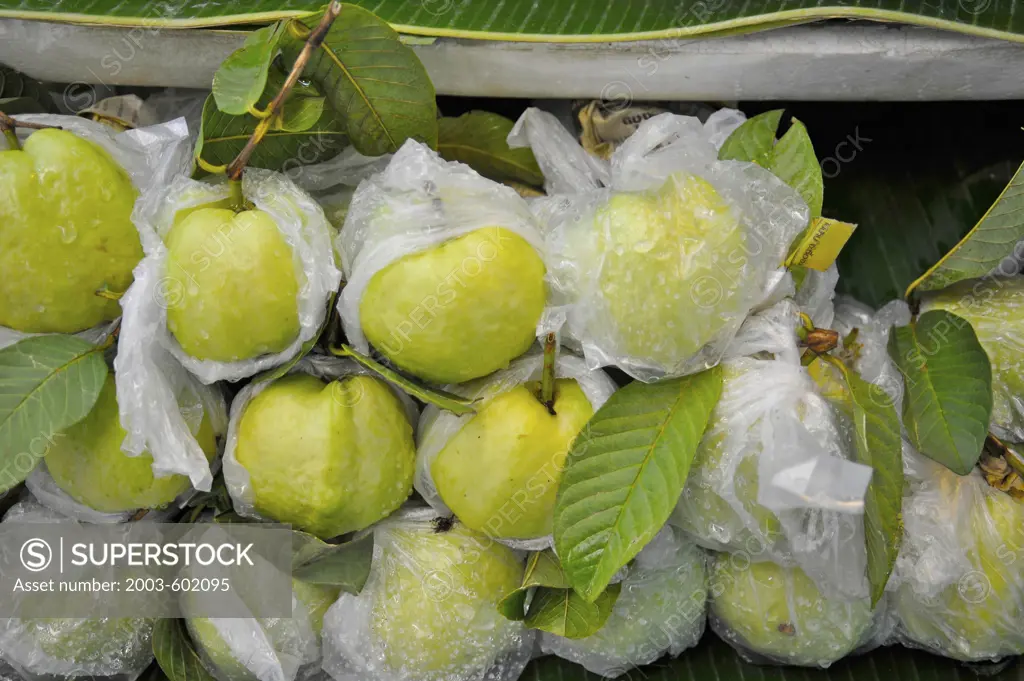 Fresh guavas at a market stall, Bangkok, Thailand