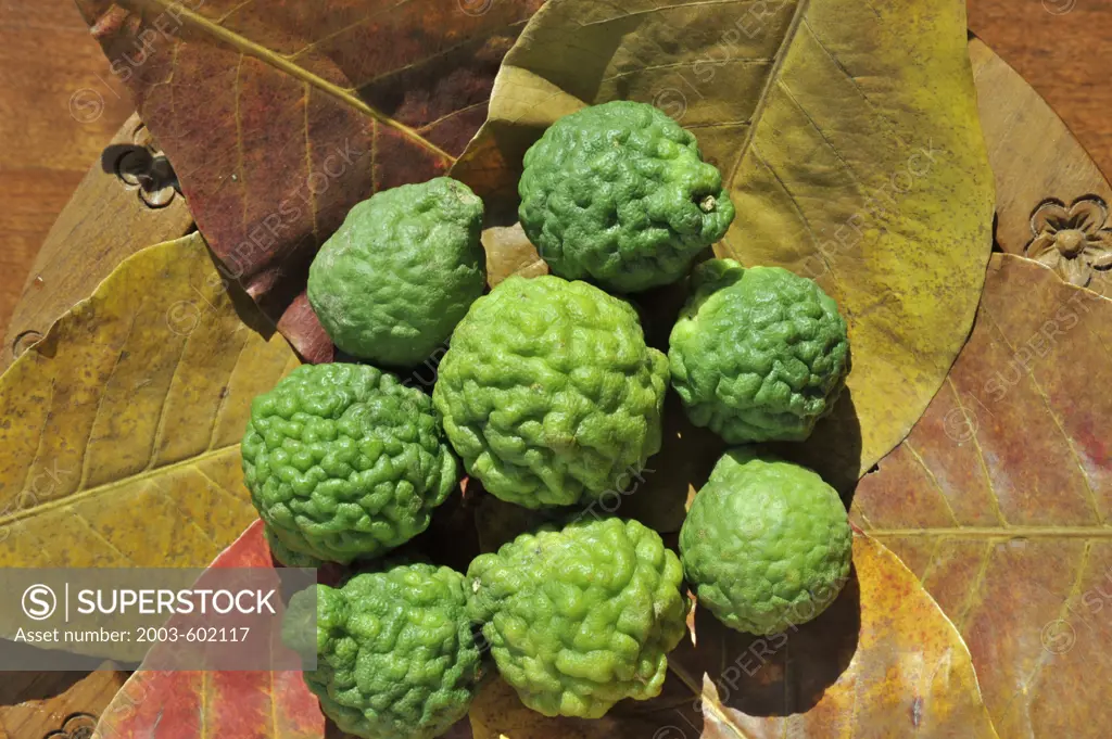 Close-up of Kaffir limes (Citrus hystix), Thailand