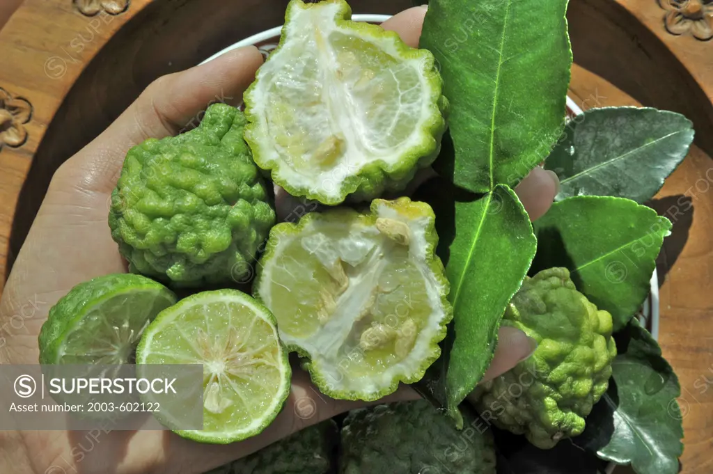 Close-up of Kaffir limes (Citrus hystix) in a person's hand, Thailand