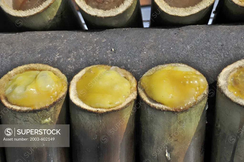 Close-up of Khao laam (A roasted rice dish) being cooked in bamboo stems, Chiang Mai, Thailand