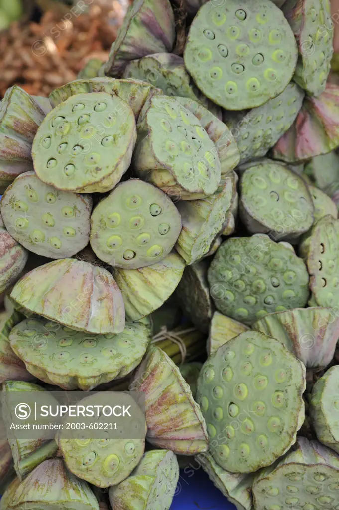 Close-up of Lotus (Nelumbo nucifera) pods at a market stall, Chatuchak Market, Bangkok, Thailand
