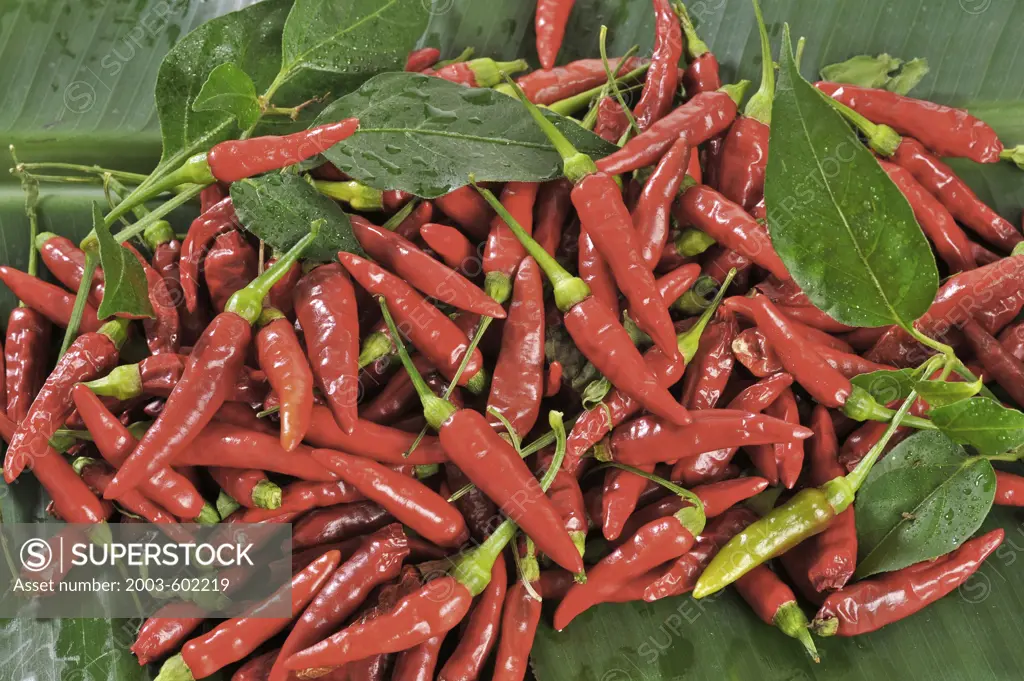 Red chili peppers in a basket