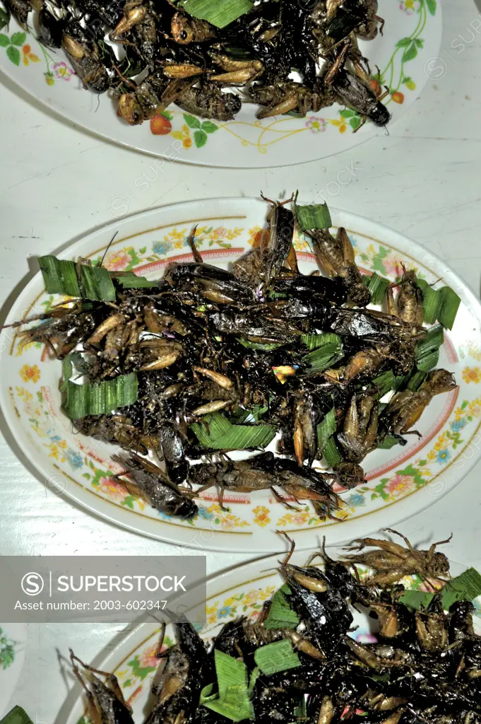 Insects as Thai food